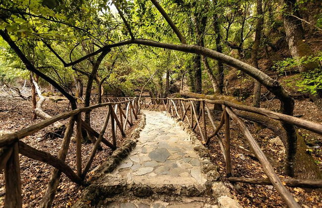 Tour di un'intera giornata con farfalle e barca all'isola di Chalki - Foto 10