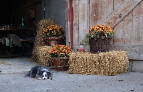 Modernes Tiny House direkt am Bauernhof - Foto 10
