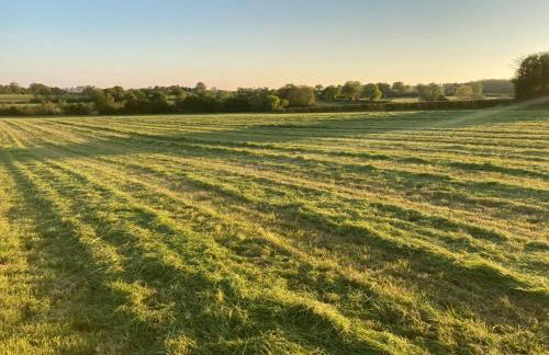 The Old Dairy & The Old Stables - Foto 12