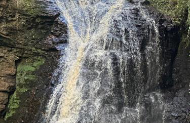 Cosy Coach House - Photo 16