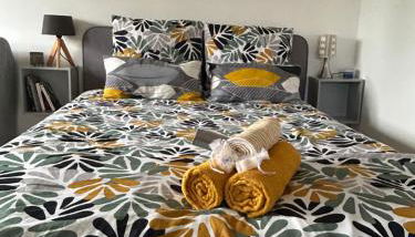 Studio proche Beauval et Châteaux de la Loire - Photo 4