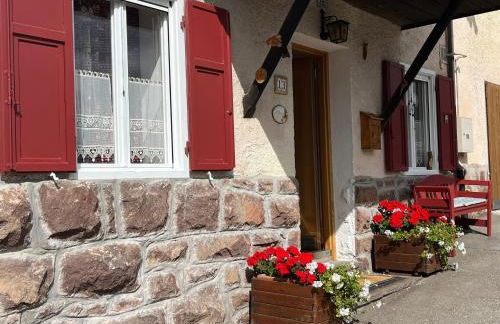 Casa Gabry by Sunhome Fiemme - Foto 7