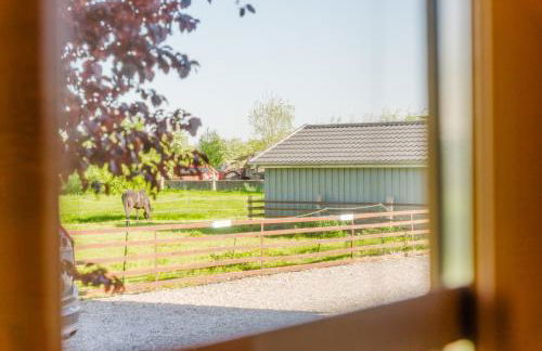 Ferienwohnung Fachwerkhaus - Westen unten - Bauernhof Hopp Vadersdorf - Foto 28