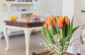 Agriturismo Torsivì - Foto 68