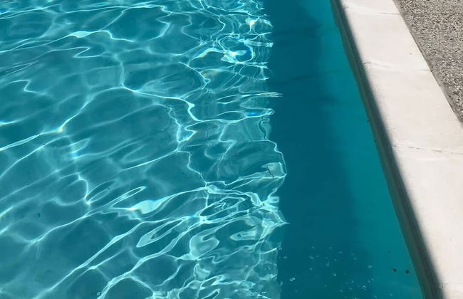 Fattoria di Cintoia - Photo 50