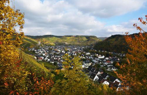 Winzer Lounge Ferienwohnung - Foto 16