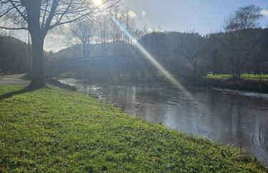 Hakans moselblick Ferienwohnung 2 - Foto 16