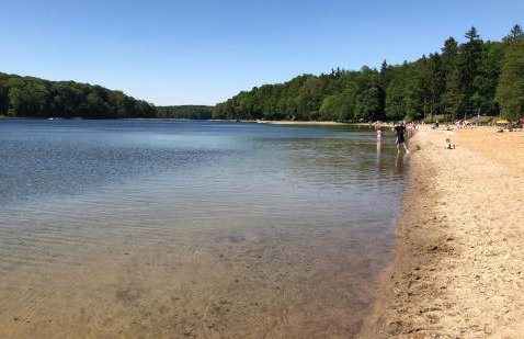 Apartament Pod Kasztanami - ZIELONY - Foto 35