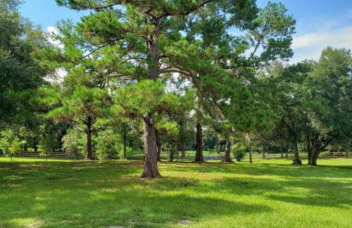 Little Ridge Ranch-East House Quiet Country Getaway-Pet Friendly! - Foto 34