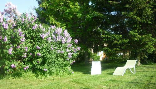 Gîte paisible à Ébreuil avec jardin, animaux acceptés - FR-1-489-19 - Foto 3