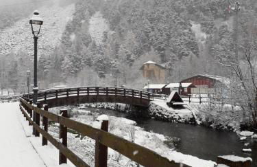 The Green Owl - Foto 44