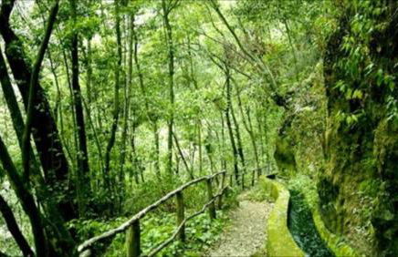 Casa Deco, La Galga, La Palma - Foto 27