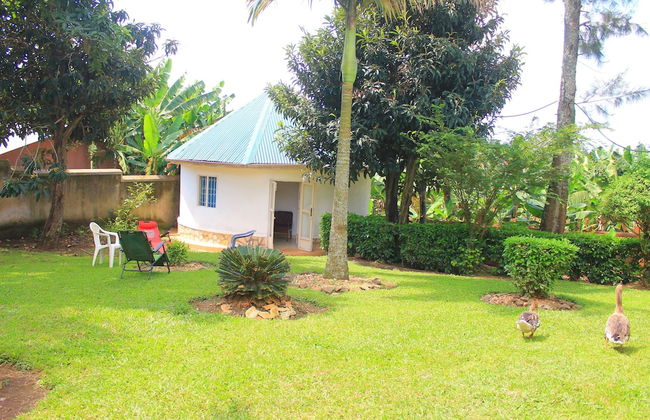 Afro Homestay - Photo 1