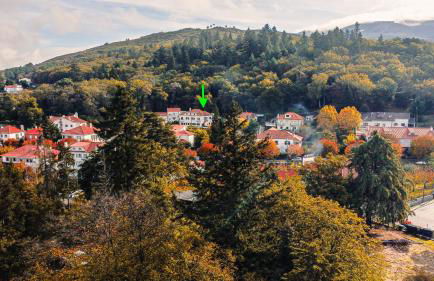 Gouveia Forest Guest House - Foto 21