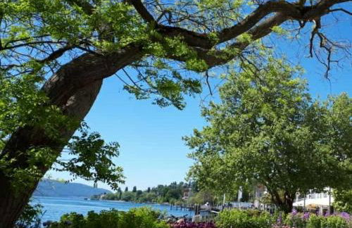 Lakeview Penthouse - Foto 57