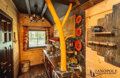 Siedlisko Janopole - Foto 44