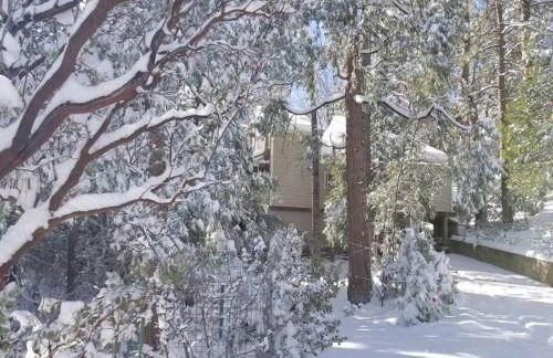 CASA de los ARBOLES! Delight & Solitude Abound! - Foto 8