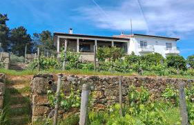 Quinta Soutelinho - Foto 8