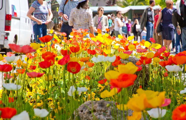 Rennweg 114 - Foto 72