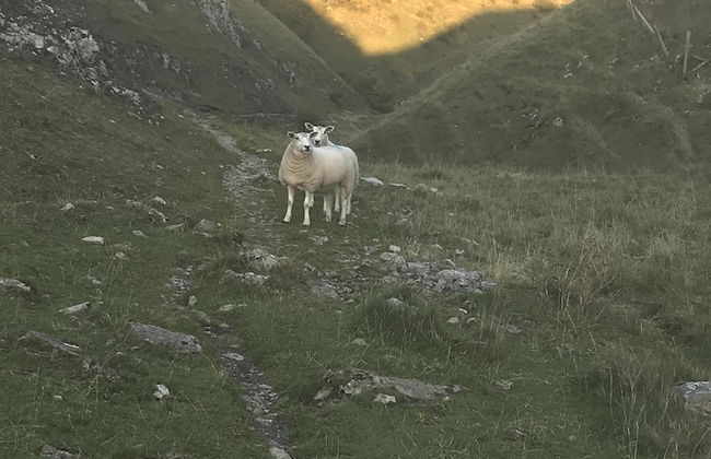 Rope Makers Croft - Foto 45