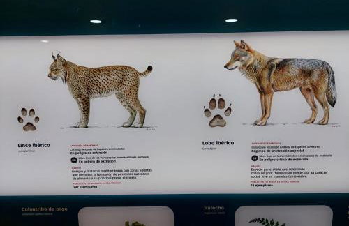 Casa Celia - Foto 28