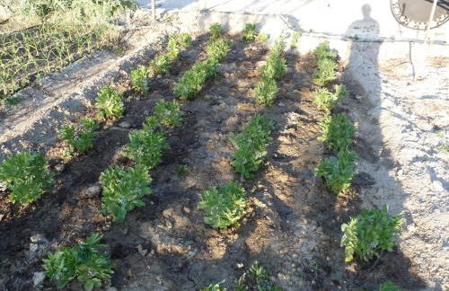Cueva el Monteron - Foto 41