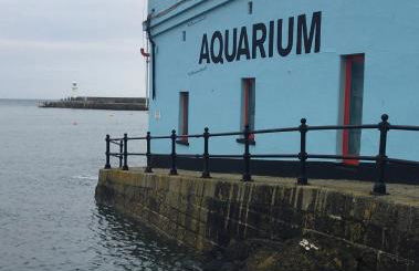 Corner Cottage Mevagissey - Foto 26