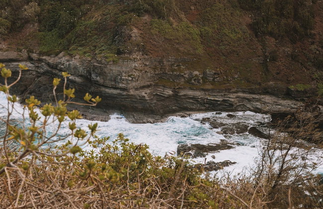 Kauai Plantation Hale Hotel - Foto 110