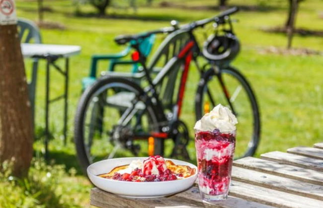 Discovery Parks - Mount Buffalo - Photo 57