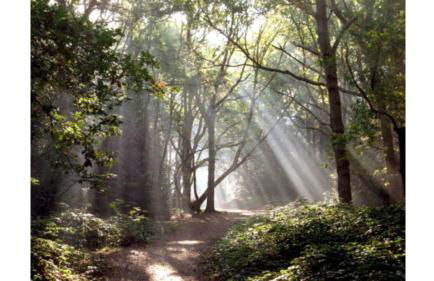 3-bedroom Home in Richmond - Ideal Family Living - Foto 39