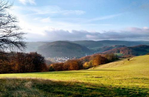 Lavender Hill - Foto 22