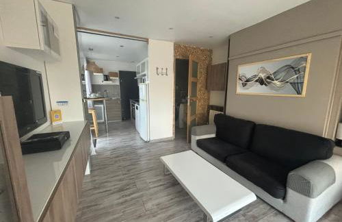 La Salamandre de l Olivier - le Palmier - Foto 6