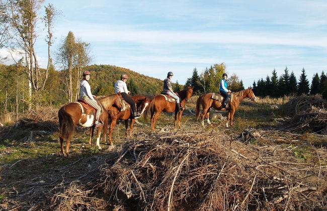 Ranch Marina - Photo 8