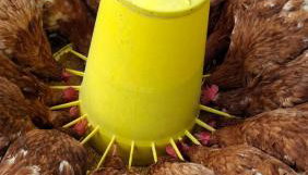 azienda agrituristica la torretta - Foto 2