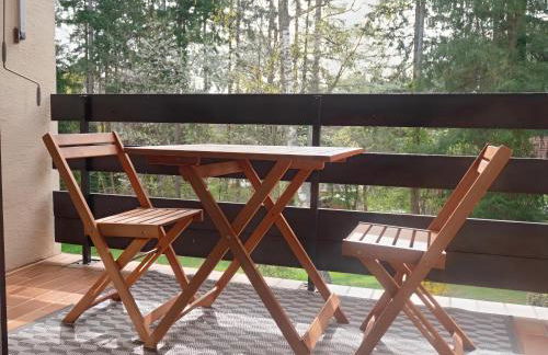 Un séjour ressourçant en Alsace entre vignes et montagnes l'Escapade Barochaise à 20mn de Colmar - Foto 16