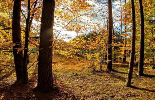 Dom Gościnny Rzeczna 4 - Foto 61