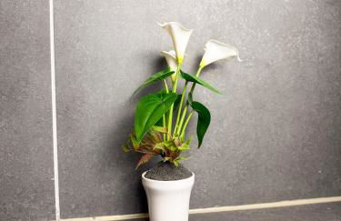 Ruhr Business Apartments Essen Apartment mit 8 Einzelbetten Privat Parkplatz - Foto 22