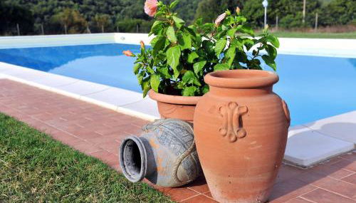 Apartment Agriletizia-2 by Interhome - Foto 5