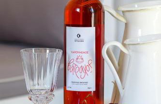 Spitaki Serifos Studio - Foto 6