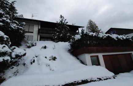 Haus Panorama mit Alpenblick - Foto 31