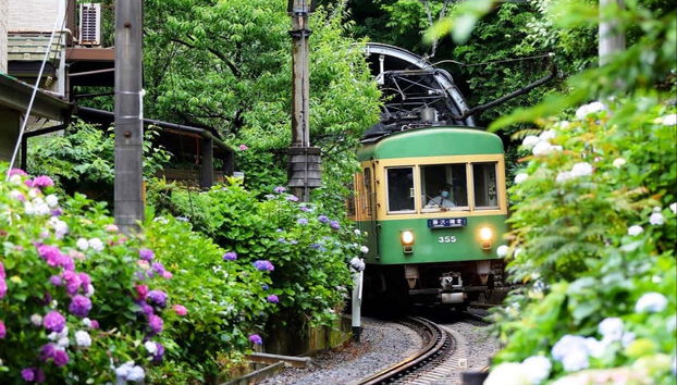 Tour in Tokyo - Foto 2