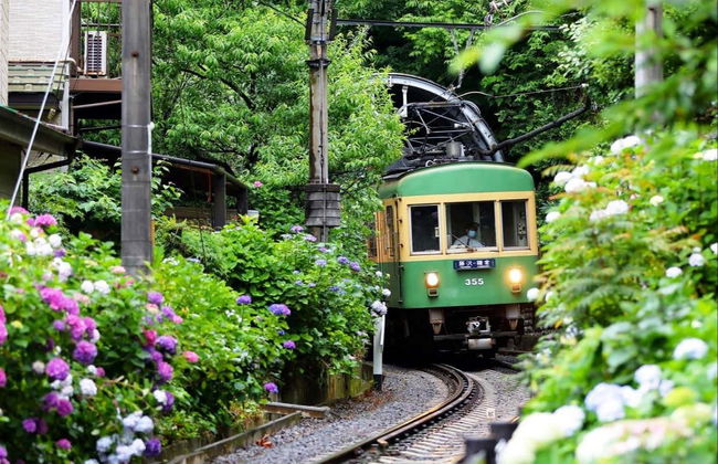 Tour in Tokyo - Photo 2