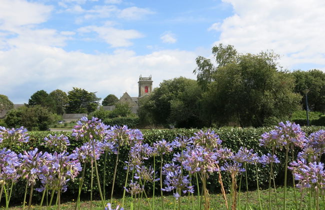 Les Agapanthes - Foto 25