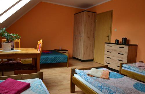 Gospodarstwo Agroturystyczne Damroka - Foto 10