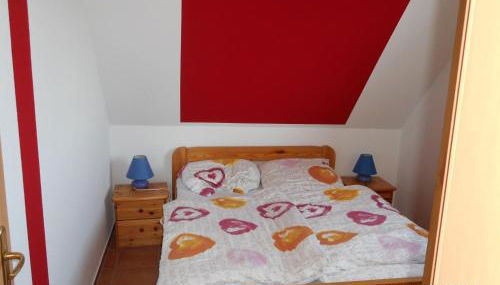 Sonnenblume - Foto 4