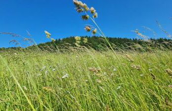 Ferienhaus Romy - Photo 11