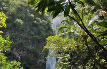 Ka Hale Kealoha - Foto 42
