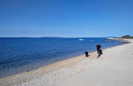 Malik's place - Photo 9