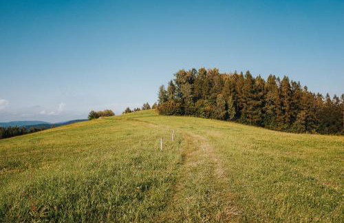 Pasieka - Dom Wypoczynkowy - Foto 38