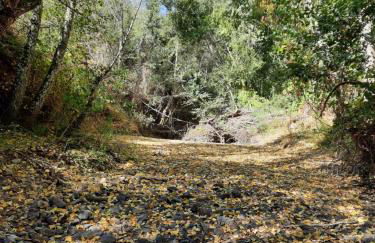 Quinta da Caída - Foto 20